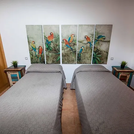 Zoad アンティグア